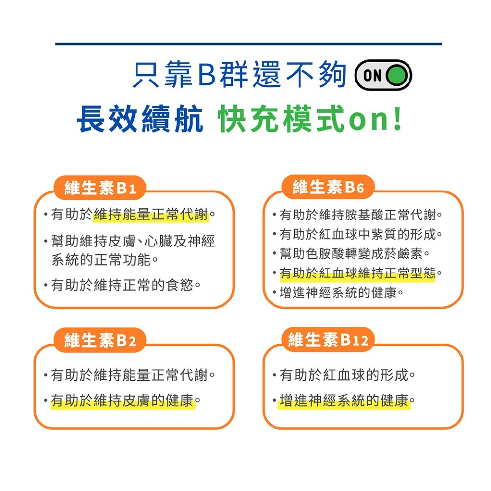 【五洲生技】歐洲草高效維他命B群膠囊_100粒/瓶-細節圖3