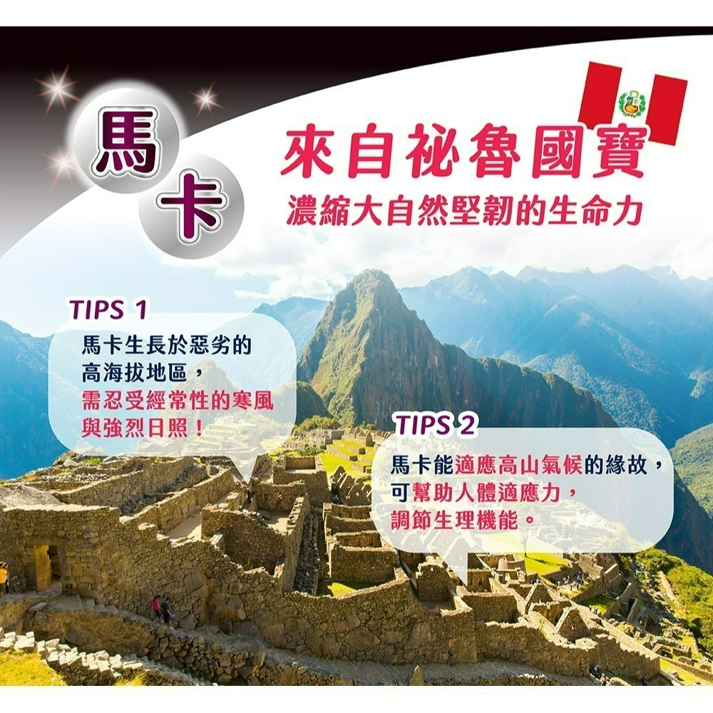 【五洲生醫】鋅帝王黑馬卡EX升級版膠囊 60粒 / 瓶 機能性食品-細節圖4