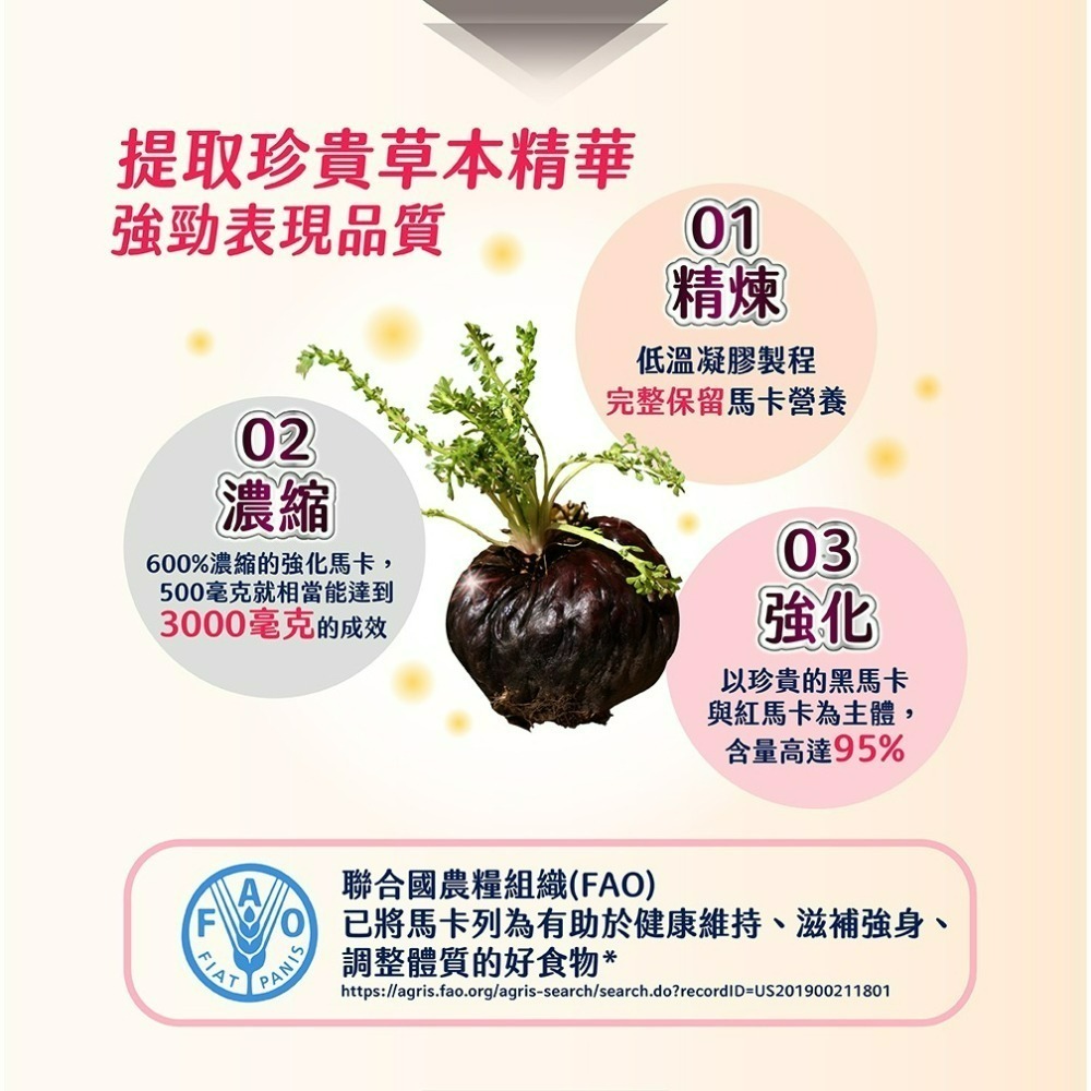 【五洲生醫】鋅帝王黑馬卡EX升級版膠囊 60粒 / 瓶 機能性食品-細節圖6