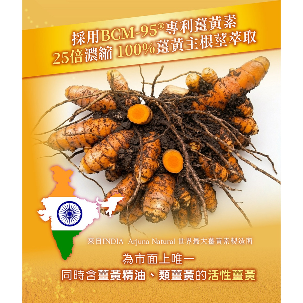 【五洲生醫】薑黃素膠囊-細節圖5