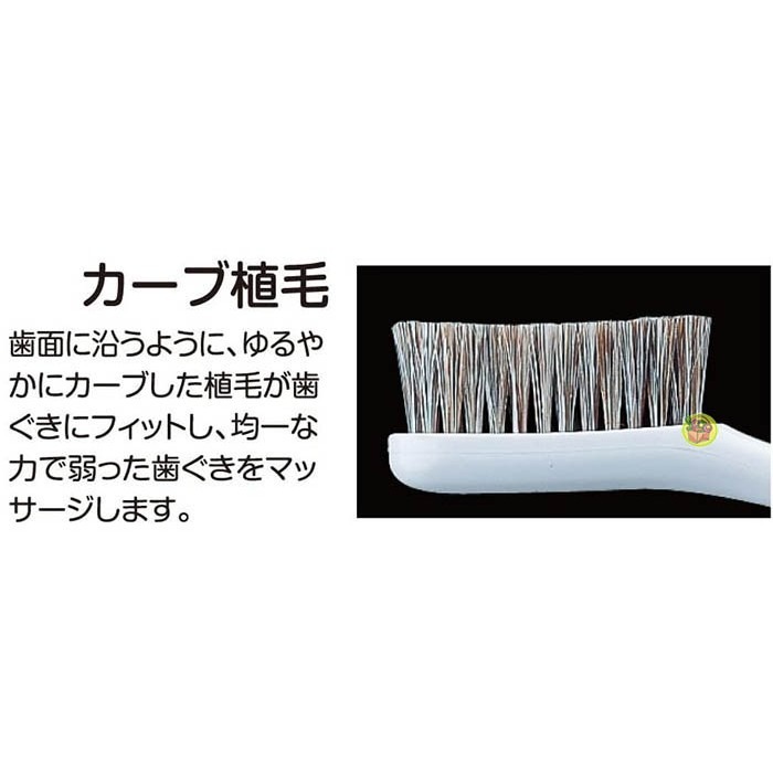 【JPGO】日本製 EBiSU 高級天然軟毛成人牙刷~馬毛+山羊毛-細節圖3