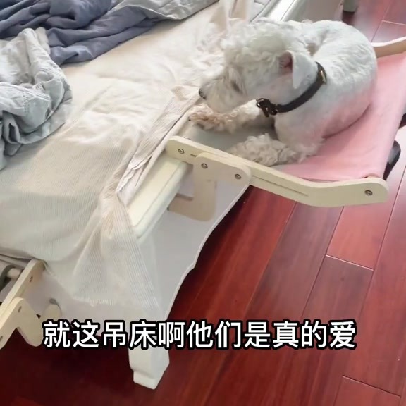 🔥在台現貨.附發票.快速出貨🔥貓掛床免鑽牆 免打洞吸盤 床邊 貓吊床窗戶窗邊 寵物床 貓跳台懸掛式貓床喵乎汪也-細節圖9