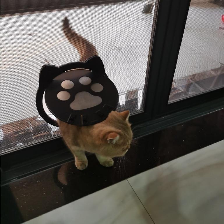 🔥在台現貨🔥寵物出入門 貓狗自由進出紗窗門 貓門 寵物門 寵物活動門 狗門 貓洞 狗洞 自由出入陽台房間紗窗貓洞門-細節圖2