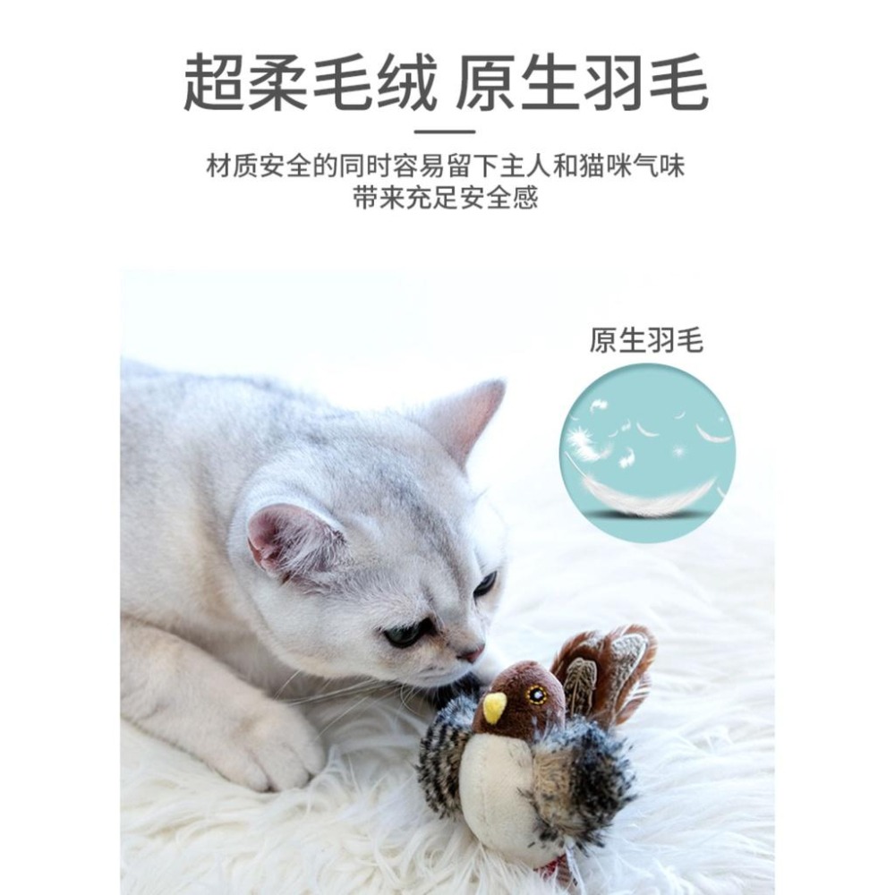 🔥在台現貨.快速出貨🔥GIGWI 貴為仿原生態鳥 啾啾鳥 貓玩具 逗貓玩具 蟋蟀/鳥/老鼠/刺蝟仿真叫聲寵物玩具-細節圖4