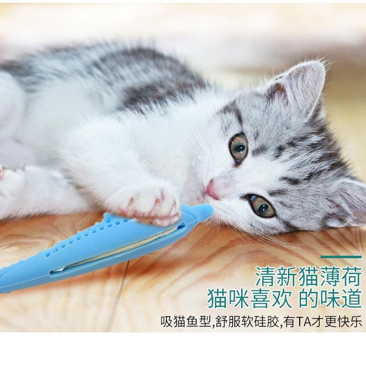 🔥在台現貨.附發票.快速出貨🔥小海豚貓咪啃咬磨牙刷牙玩具 附薄荷草 寵物磨牙 貓薄荷玩具 貓咪磨牙-細節圖2