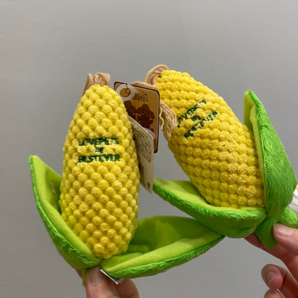 [Carpe Diem] 現貨 狗狗好朋友 玉米🌽玩具 填充 發聲玩具 磨牙 狗狗 毛孩 互動 減壓 絨毛玩具 寵物-細節圖2