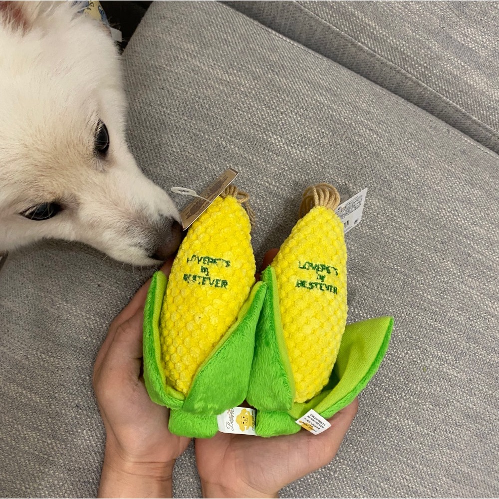 [Carpe Diem] 現貨 狗狗好朋友 玉米🌽玩具 填充 發聲玩具 磨牙 狗狗 毛孩 互動 減壓 絨毛玩具 寵物-細節圖3