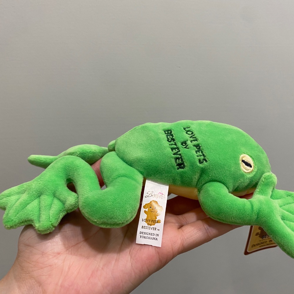[Carpe Diem] 現貨日貨 狗狗好朋友 青蛙🐸玩具 蛙蛙 填充 發聲玩具 毛孩 互動 減壓 絨毛玩具 寵物-細節圖5