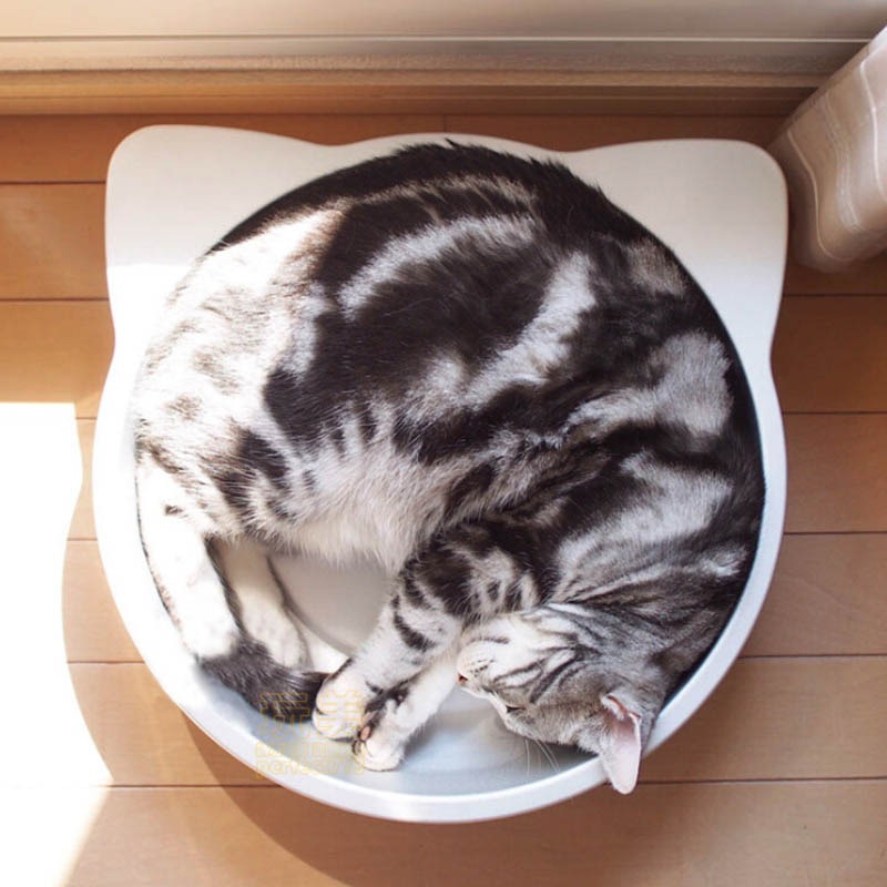 貓鍋 貓鋁鍋 寵物涼墊 鋁製貓鍋 鋁貓鍋 貓涼墊 寵物涼感 寵物涼墊 貓咪涼墊 鋁涼墊 寵物降溫 玩美 77224-細節圖9