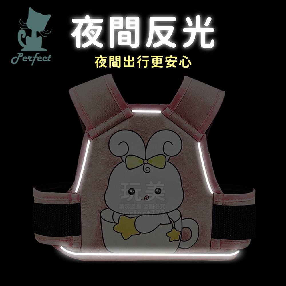 機車安全帶 兒童安全帶 機車背帶 機車綁帶 摩托車背帶 機車後座安全帶 機車綁腰 固定帶 防掉落 玩美 C257-細節圖7