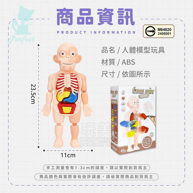 人體模型 器官模型 人體玩具 認知玩具 早教玩具 器官娃娃 解剖玩具 人體器官 兒童玩具 人體構造 玩美 77802-規格圖9