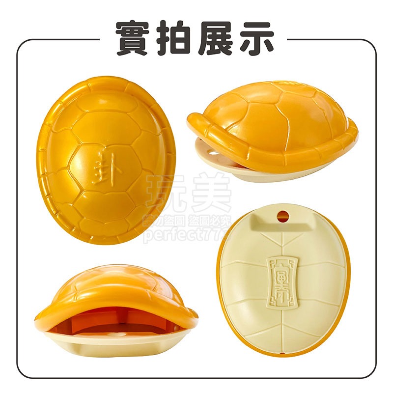 龜殼卦 好運龜 解壓玩具 占卜 占卜工具 算命 龜殼 卜卦 占卜龜 感情占卜 占卜龜殼 工作占卜 玩美 771520-細節圖3