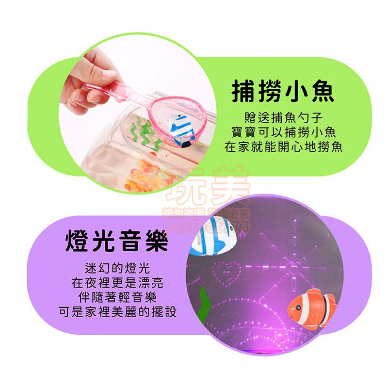 水族箱玩具 養魚玩具 魚缸玩具 快樂水族箱 寵物玩具 歡樂水族箱 兒童玩具 小丑魚 養成玩具 仿真鱼 玩美 771537-細節圖7