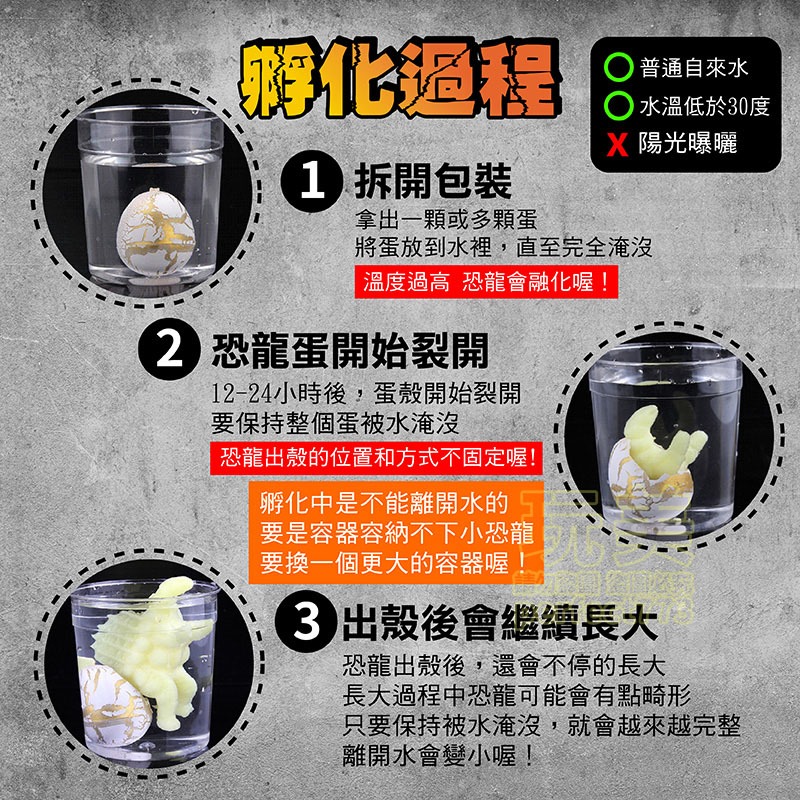 恐龍 恐龍玩具 恐龍蛋 恐龍模型 泡水 泡水恐龍蛋 泡水恐龍 泡水玩具 孵化蛋 洗澡恐龍蛋 大恐龍蛋 玩美 771108-細節圖5