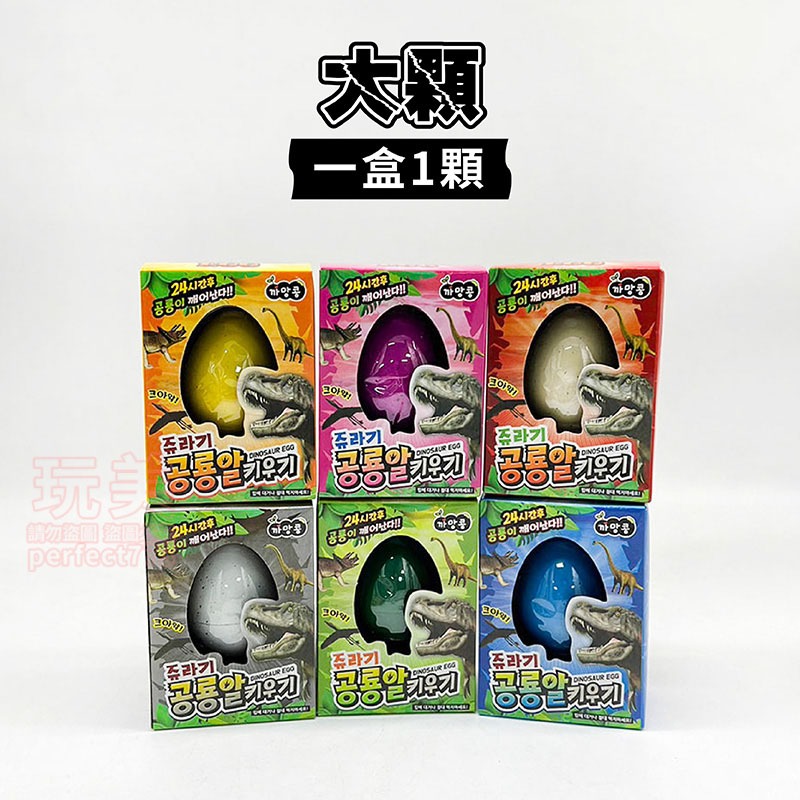 大顆《孵化恐龍蛋《一盒1顆