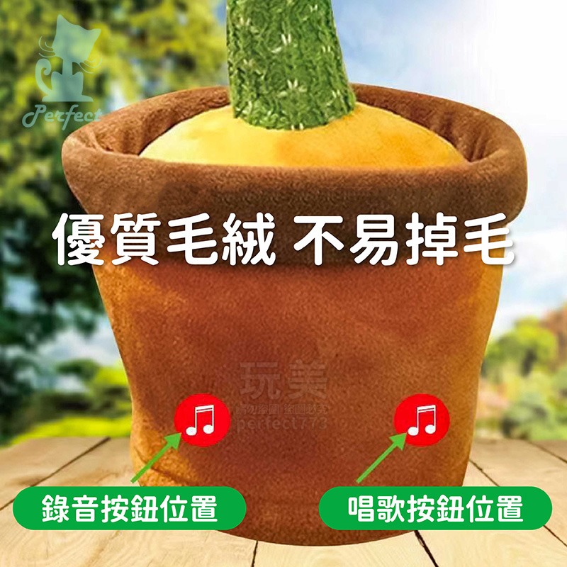 仙人掌 錄音娃娃 跳舞仙人掌 仙人掌娃娃 聲控玩具 仙人掌玩具 跳舞娃娃 會動的玩具 說話仙人掌 玩美 77682-細節圖6