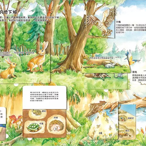 双美 我的STEAM翻翻書：深不可測的地底(7個場景+42個翻頁小機關) / 互動遊戲書 / 百科-細節圖3