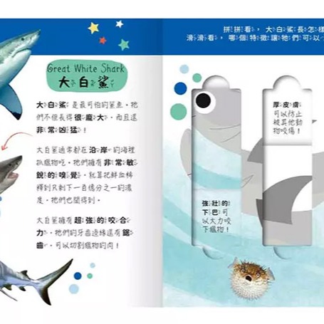 禾流文創 Lovely Puzzle: 海洋動物園 / 拼圖 / 遊戲書-細節圖2