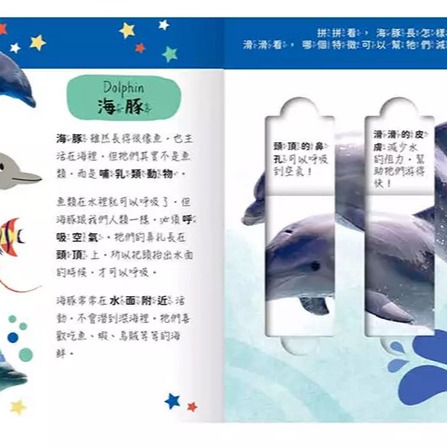 禾流文創 Lovely Puzzle: 海洋動物園 / 拼圖 / 遊戲書-細節圖3