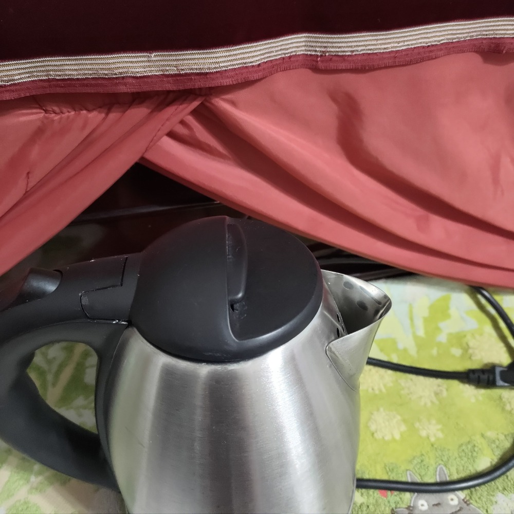 鍋寶 316 不鏽鋼 快煮壺 400 二手 2021年製-細節圖4