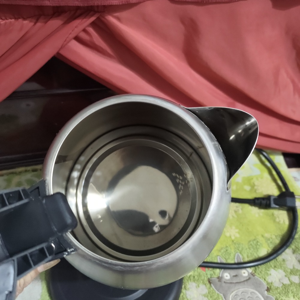 鍋寶 316 不鏽鋼 快煮壺 400 二手 2021年製-細節圖7