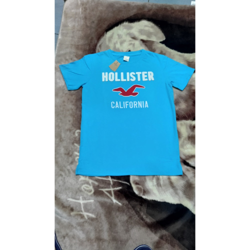 Hollister 男款 休閒短袖 T 恤 時尚 L 1000
