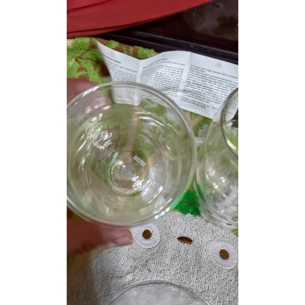 BODUM pilatus 雙層玻璃杯 350ml BMW-細節圖7
