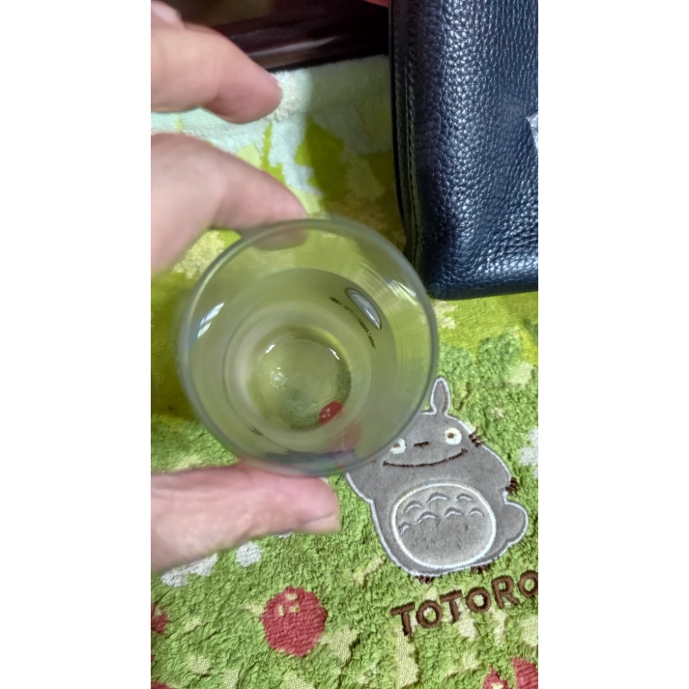 BODUM pilatus 雙層玻璃杯 350ml BMW-細節圖8