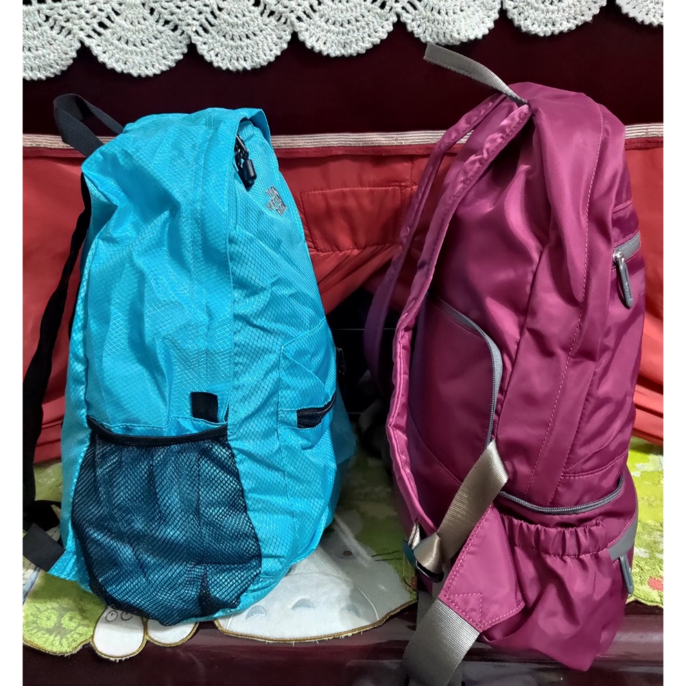 VoyLux 伯勒仕 四用折疊後背包 腰包 肩背 側背 THE NORTH FACE 登山突擊背包 尼龍 折疊包-細節圖2