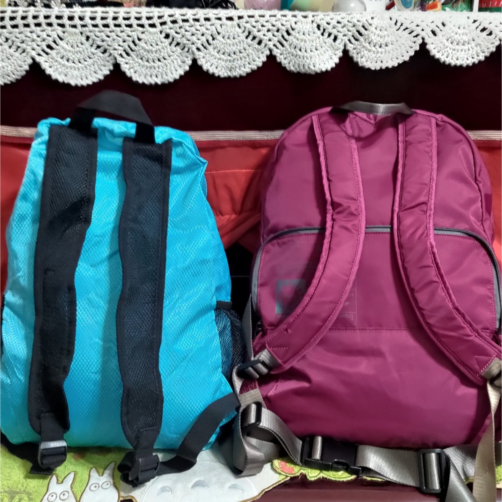 VoyLux 伯勒仕 四用折疊後背包 腰包 肩背 側背 THE NORTH FACE 登山突擊背包 尼龍 折疊包-細節圖3