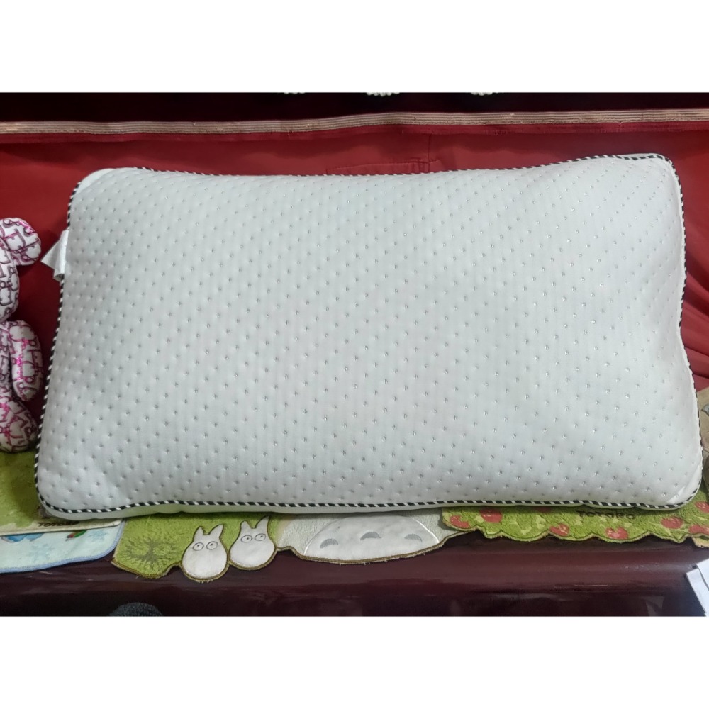 二手 Darphia 朵法亞 3D透氣可水洗 獨立筒枕 45顆-細節圖2