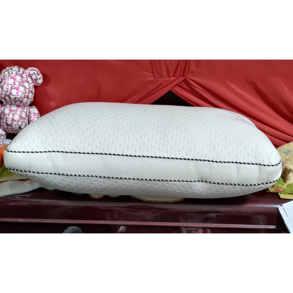 二手 Darphia 朵法亞 3D透氣可水洗 獨立筒枕 45顆-細節圖3