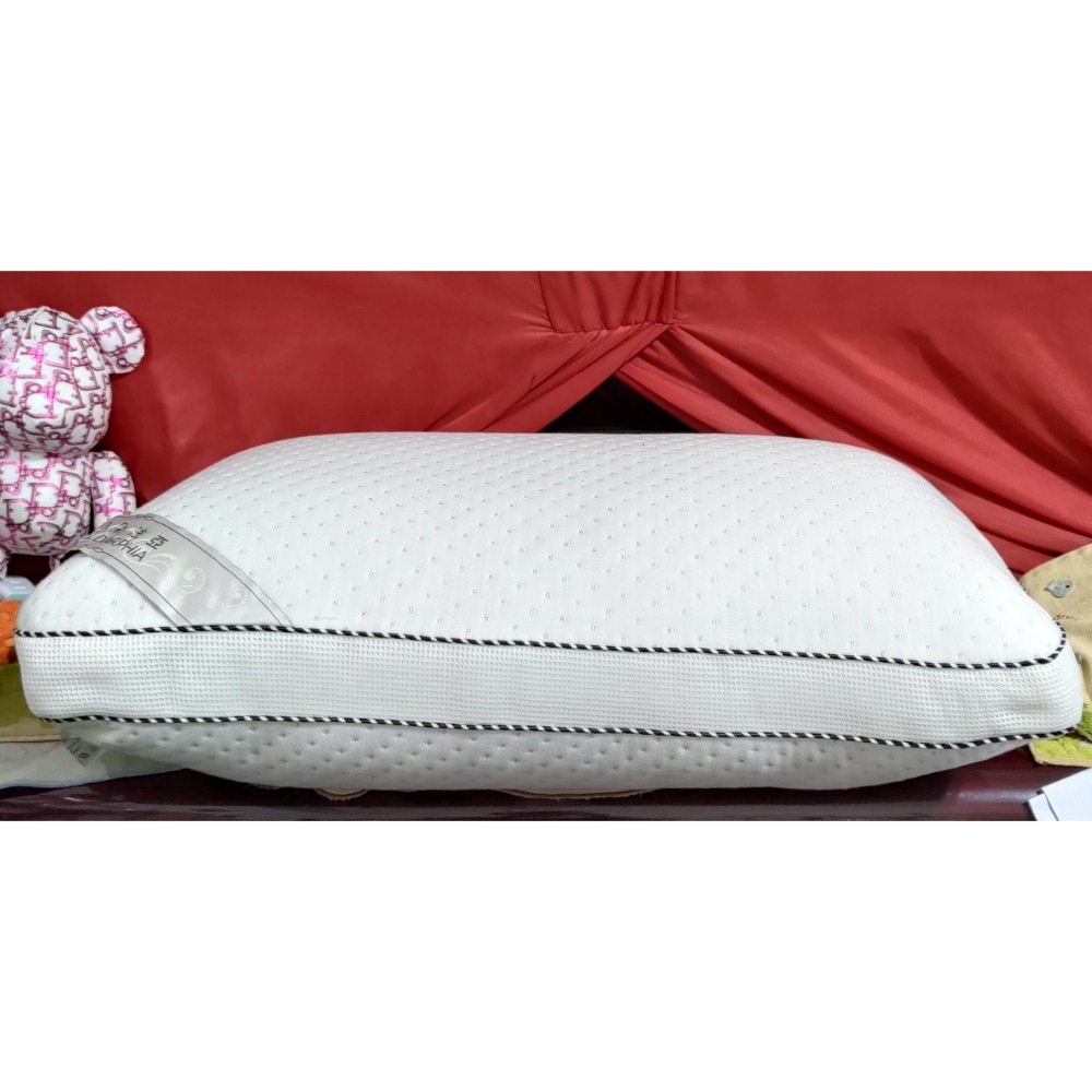 二手 Darphia 朵法亞 3D透氣可水洗 獨立筒枕 45顆-細節圖4