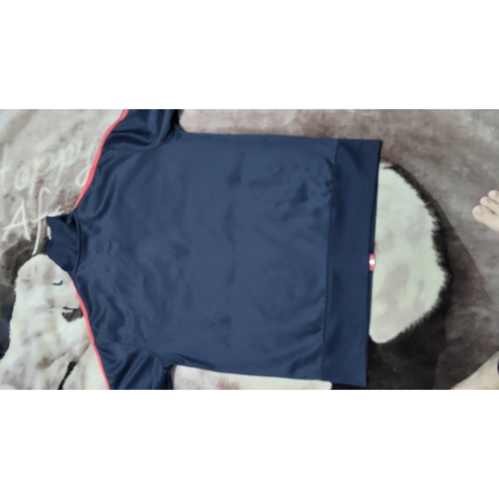 二手正品美版CHAMPION 男立領運動內加絨外套 M 2015布魯克林愛迪達長袖L-細節圖8