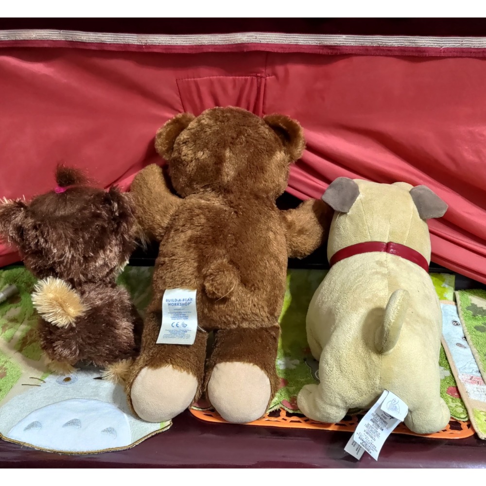 孩之寶狗玩具 Build A BEAR 棕色泰迪熊毛絨 迪士尼少年小狗朋友哈巴狗-細節圖2