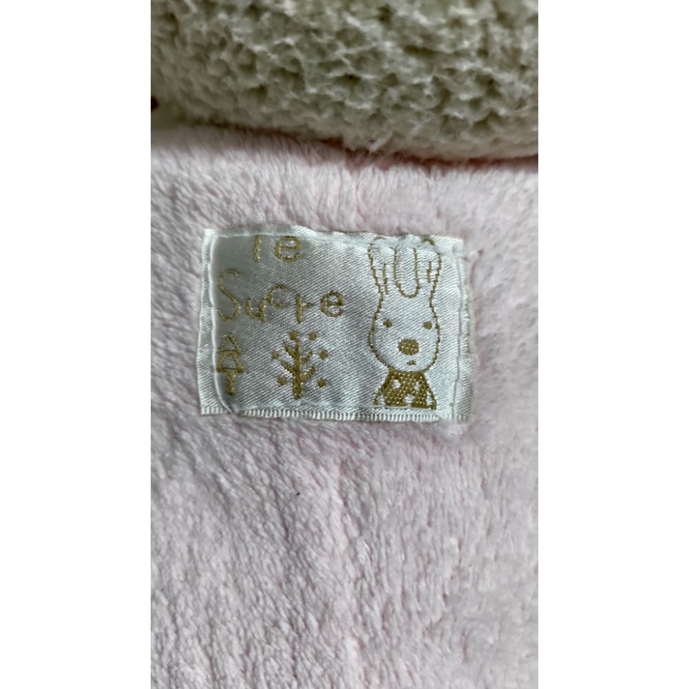 二手 le sucre 70公分法國兔 趴睡兔 砂糖 75公分蠟筆小新 造型浮板 游泳 玩水 漂浮娃娃-細節圖9