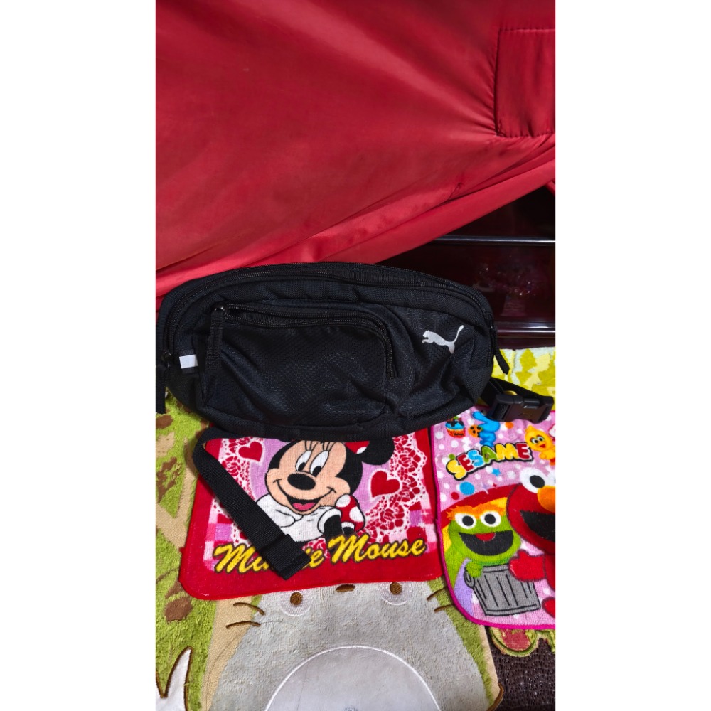 KATHY VAN ZEELAND 手提小包 化妝鏡  NET 銀色鍊條肩斜背包 PUMA 腰包 斜側背Gelab-細節圖8