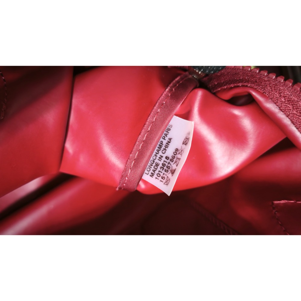 LONGCHAMP 手提水餃包 短把肩側背包 COACH 托特包 大容量-細節圖5