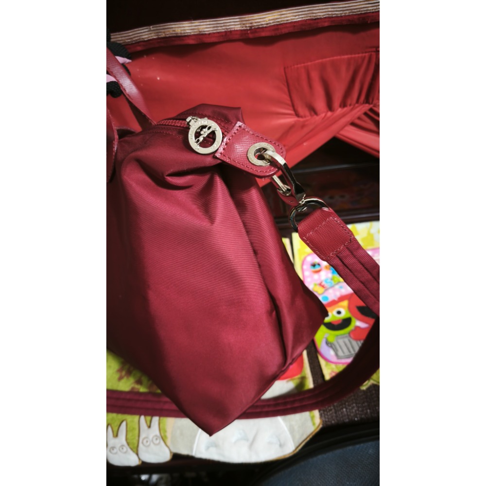 LONGCHAMP 手提水餃包 短把肩側背包 COACH 托特包 大容量-細節圖6