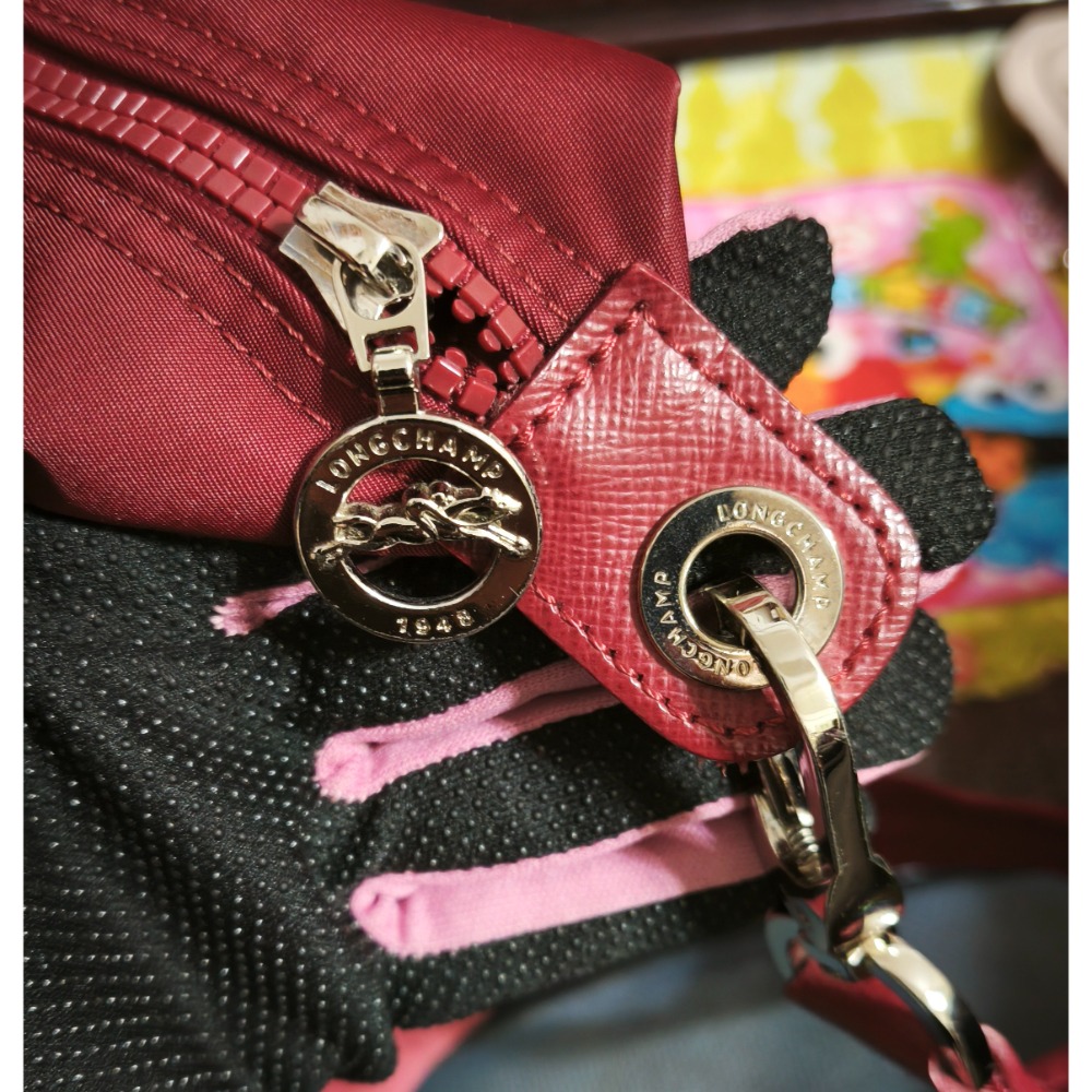 LONGCHAMP 手提水餃包 短把肩側背包 COACH 托特包 大容量-細節圖7