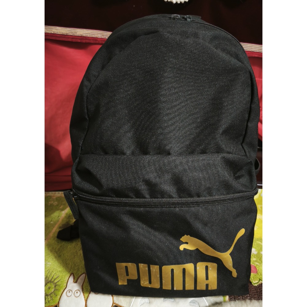 PUMA雙拉後背包 THE NORTH FACE 黑 日本THE藍後背包-細節圖6
