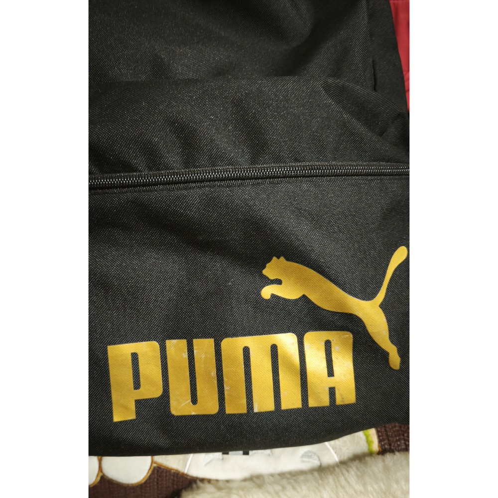 PUMA雙拉後背包 THE NORTH FACE 黑 日本THE藍後背包-細節圖7