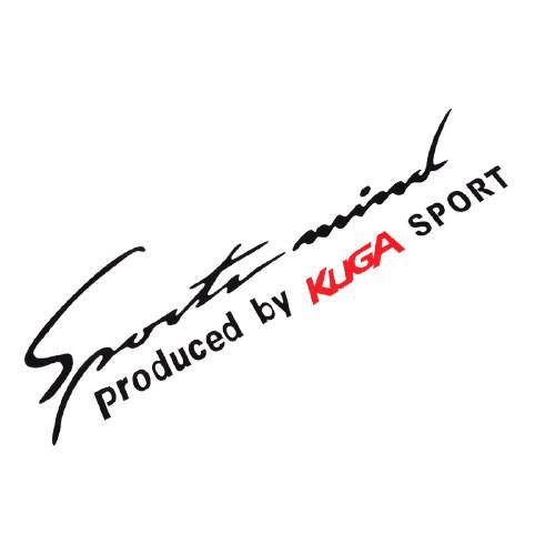 【現貨】FORD KUGA 引擎蓋貼 大燈貼 車門貼紙 車身貼紙 拉花貼 A0639-細節圖3