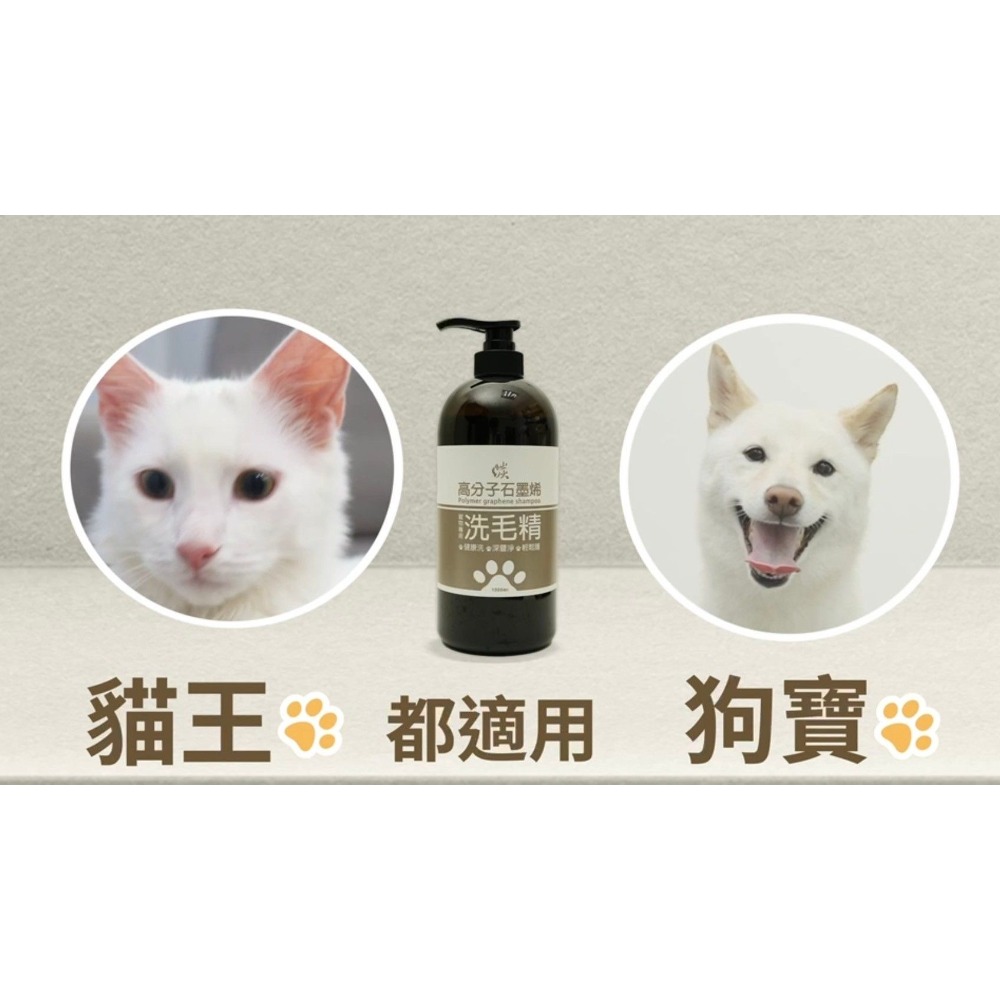 GMP【高分子石墨烯】寵物洗毛精1000ml 寵物美容師⭐專屬指定 抗菌  低敏 除臭 柔順 亮澤 調理膚質 改善皮屑-細節圖2