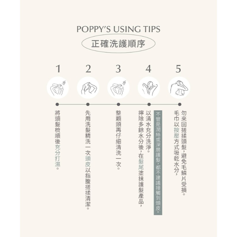 POPPY 當歸強效養髮洗髮精(500mL)-細節圖7