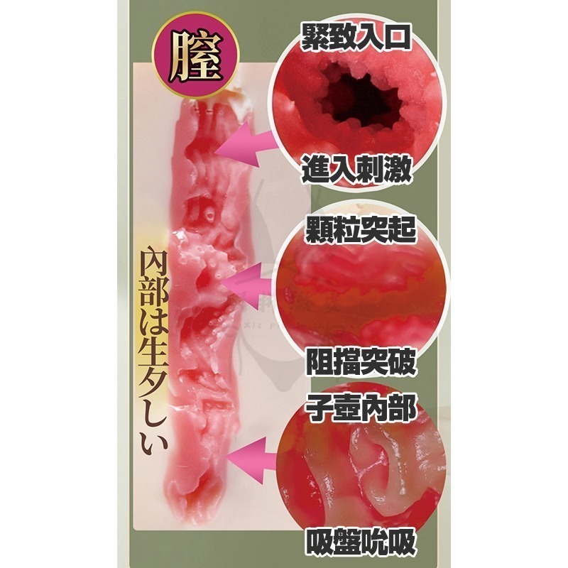 【台灣現貨】日本AV女優 惟名空 飛機杯 名器INGTOYS 自慰神器 情趣 男性情趣用品 大奶 潤滑 自慰套-細節圖4