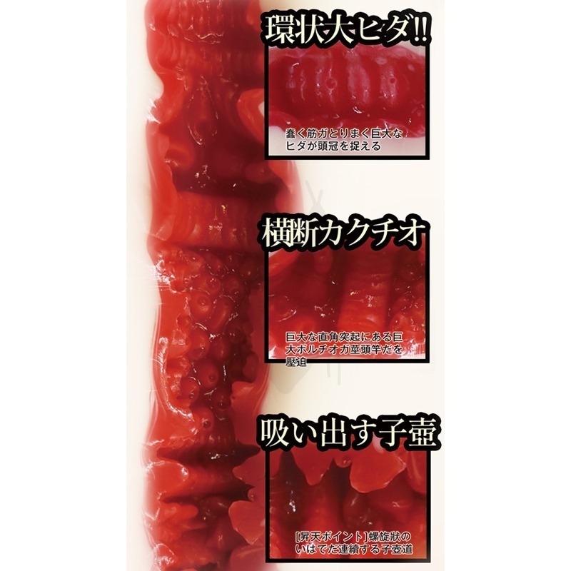 【台灣現貨】日本AV女優 橋本有菜 飛機杯 名器INGTOYS 自慰神器 情趣 男性情趣用品 大奶 潤滑 自慰套-細節圖4