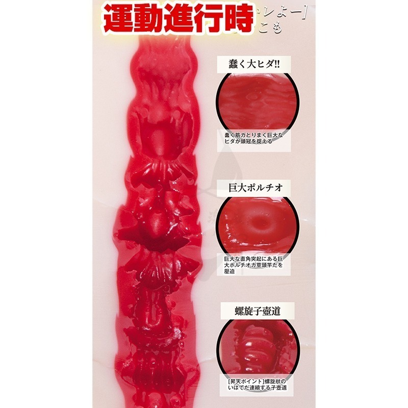 【台灣現貨】日本AV女優 高橋聖子 飛機杯 名器INGTOYS 自慰神器 情趣 男性情趣用品 大奶 潤滑 自慰套-細節圖5