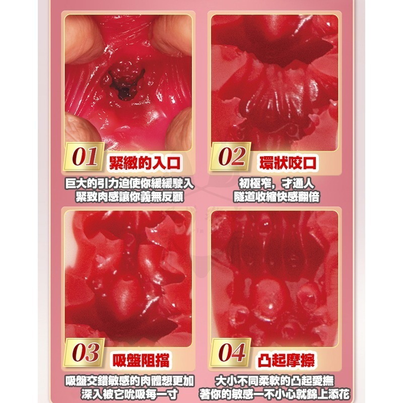 【台灣現貨】日本AV女優 高橋聖子 飛機杯 名器INGTOYS 自慰神器 情趣 男性情趣用品 大奶 潤滑 自慰套-細節圖6