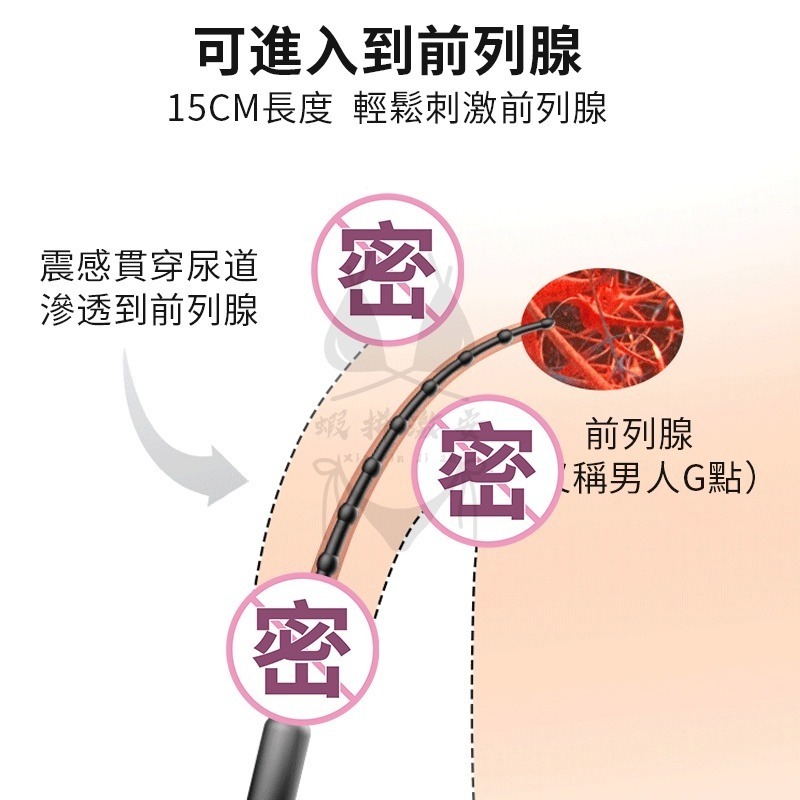 馬眼棒高潮棒+前列腺 🌈同志玩具 男用 震動 刺激 自慰器 情趣 馬眼 挑逗 高潮 拉珠版-細節圖7